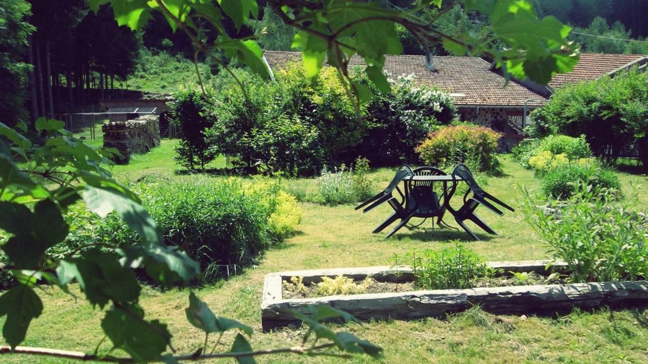La Boissellerie Hotel Saulxures-sur-Moselotte Kültér fotó